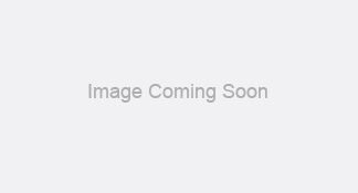 noplantimage1